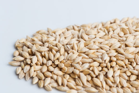 Barley, hulls on