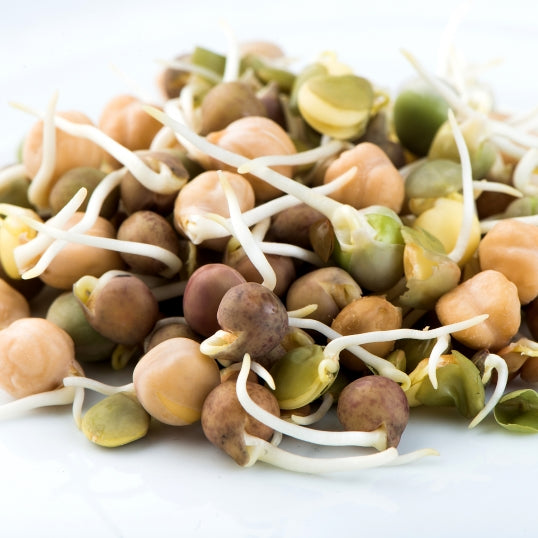 Crunchy Bean Mix