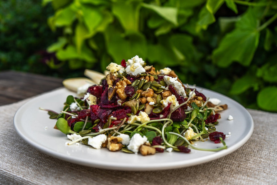 Roasted Beet, Chévre + Sunflower Sprout Salad