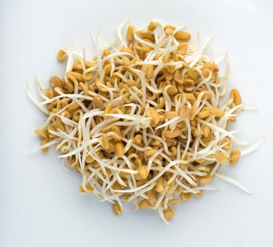 Fenugreek