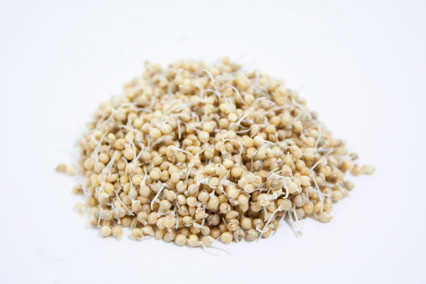 Quinoa, White