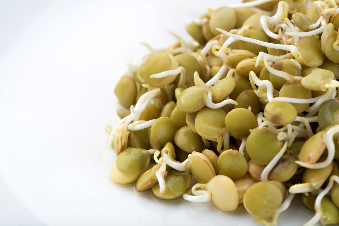 Lentils, Large Green