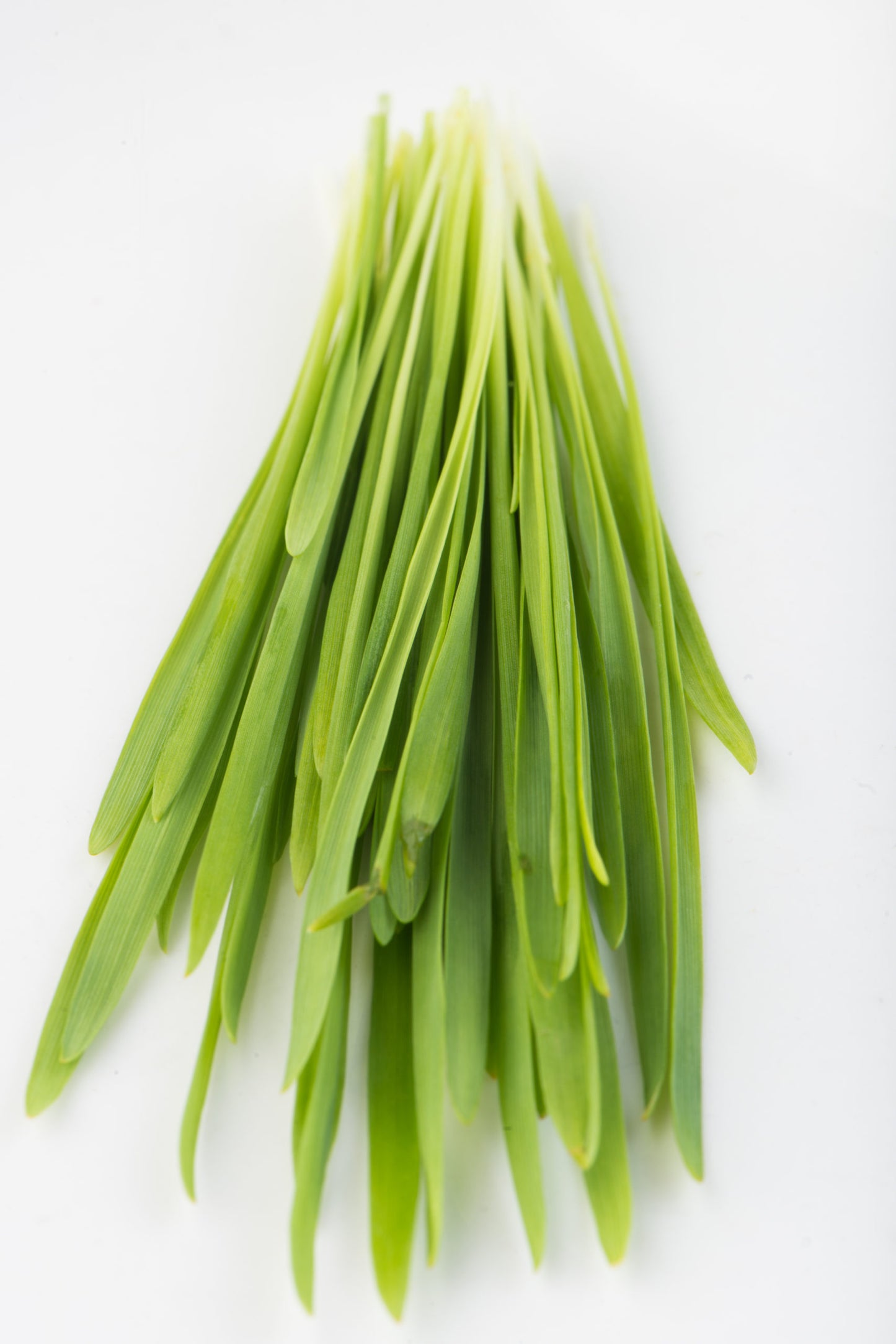 Oats, Hulless