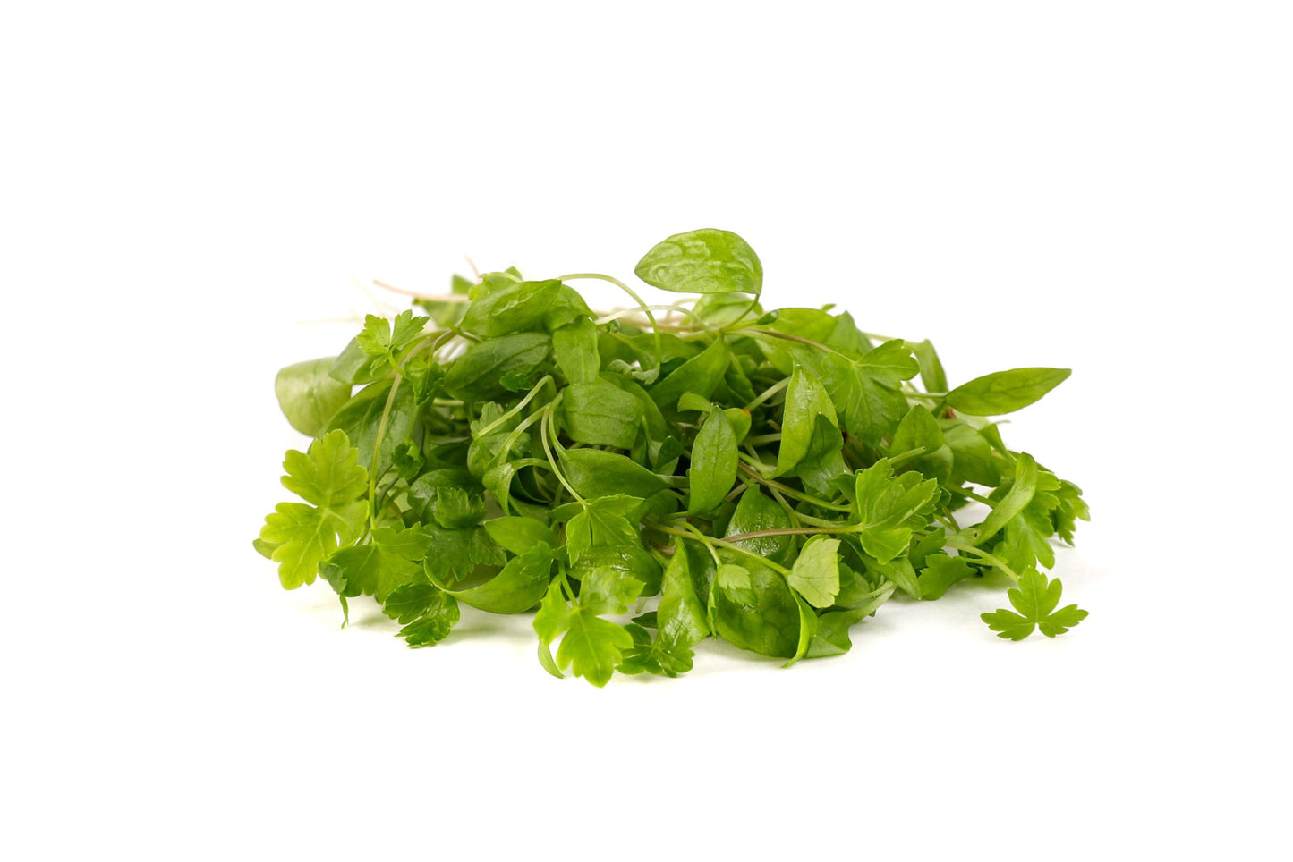 Parsley