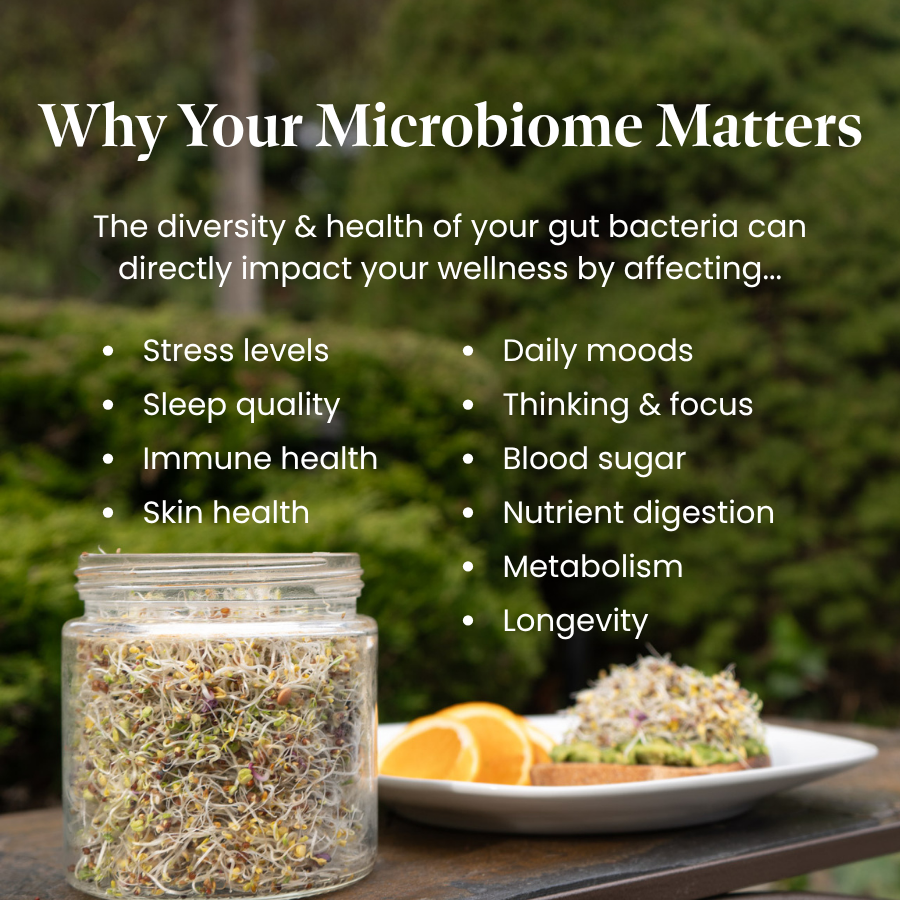 Happy Gut Microbiome Blend