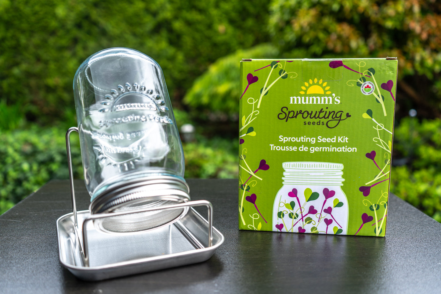 Sprouting Seed Kit (Single)