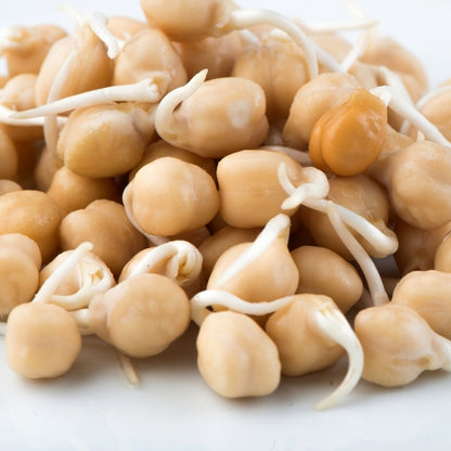 Bean, Garbanzo
