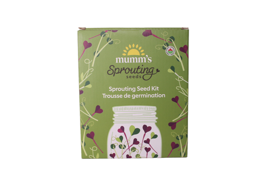 Sprouting Seed Kit (Single)