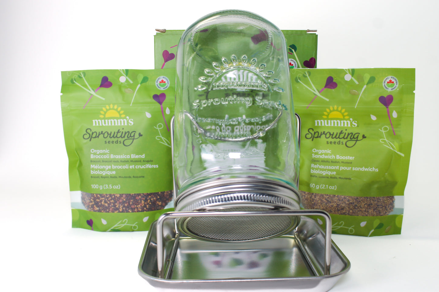 Sprouting Seed Kit (Single)