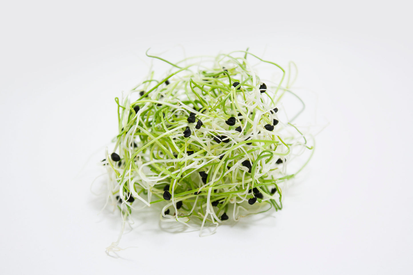 Chives, Onion