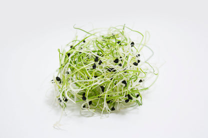 Chives, Onion