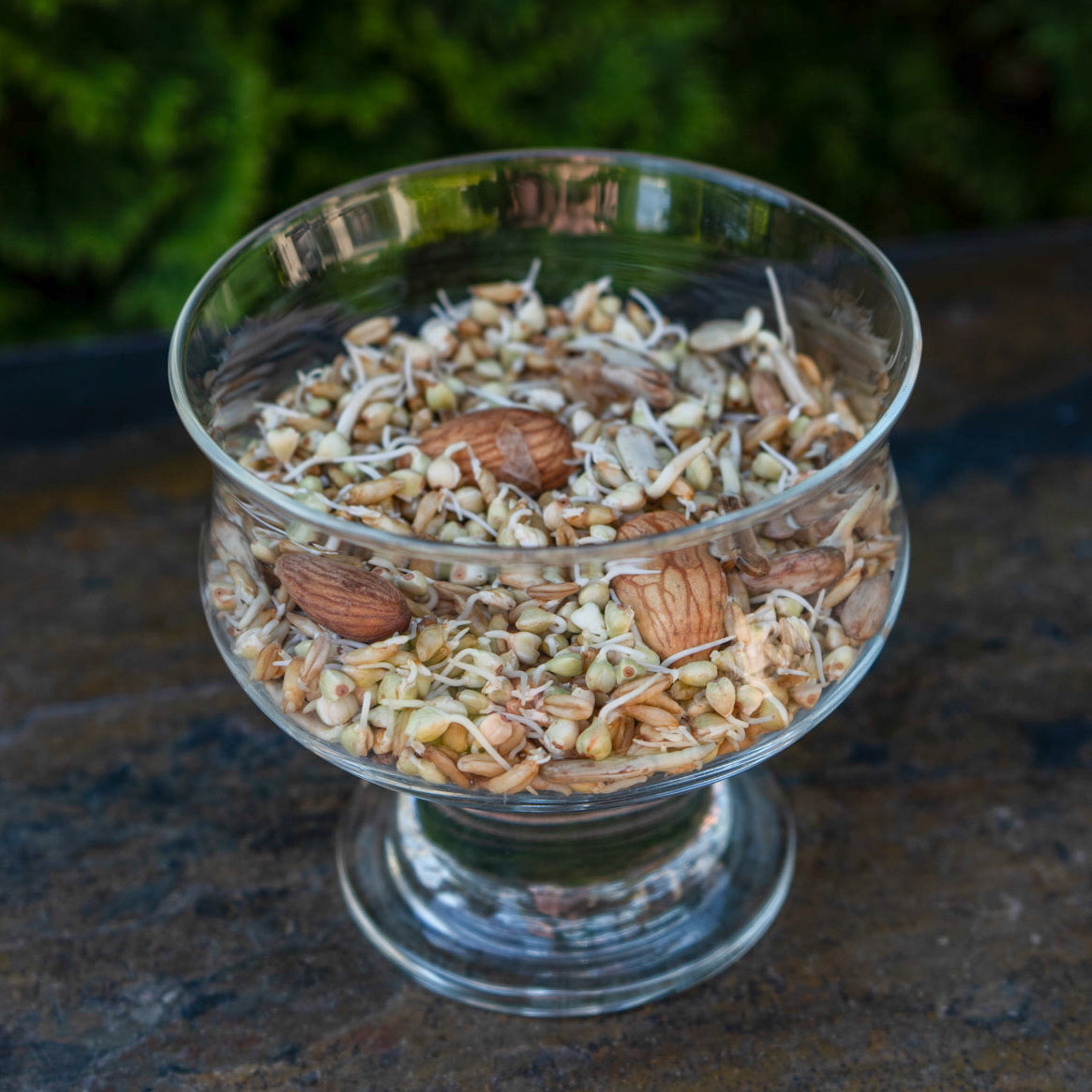 Breakfast Blend