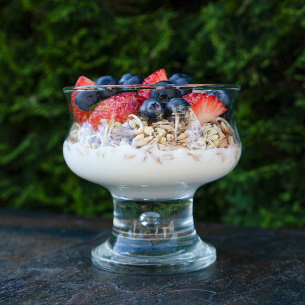 Breakfast Blend