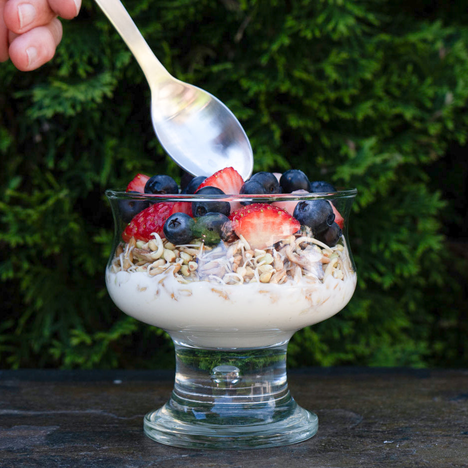 Breakfast Blend