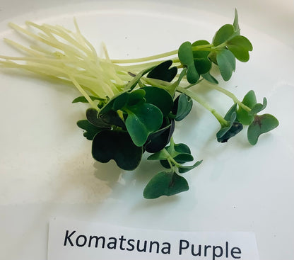 Komatsuna, Purple