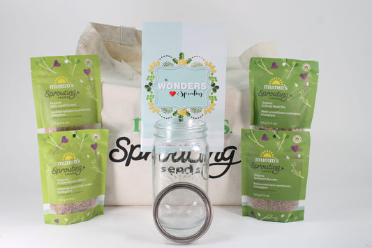 Gift Bag Medium