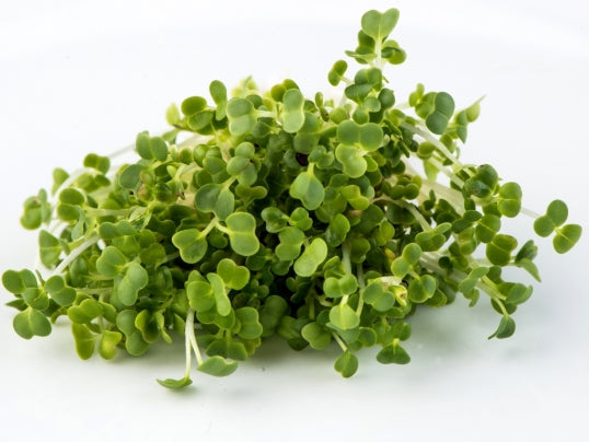 Mustard, Mizuna