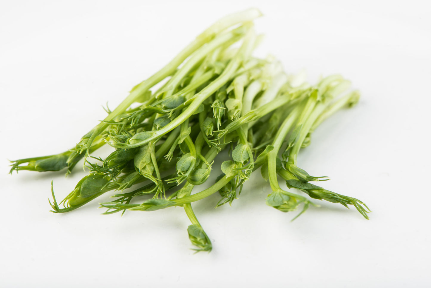 Pea, Green