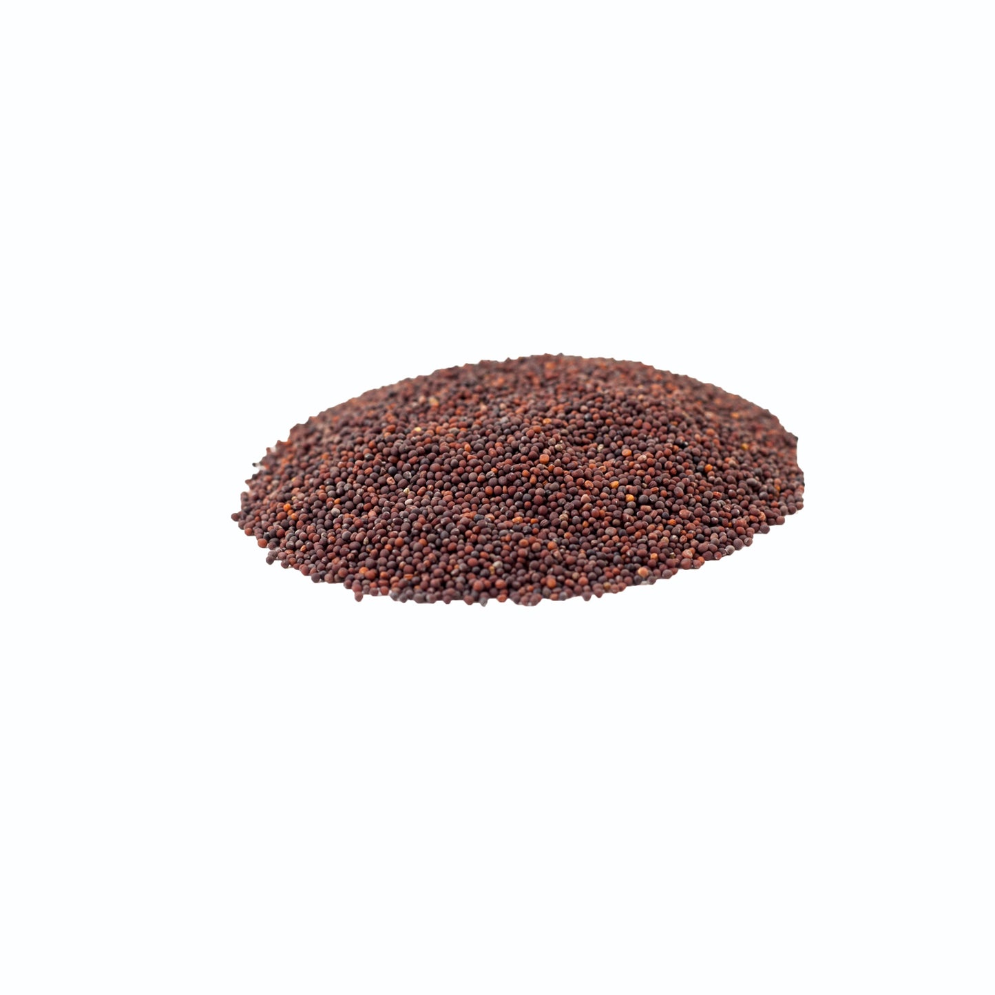 Spigarello