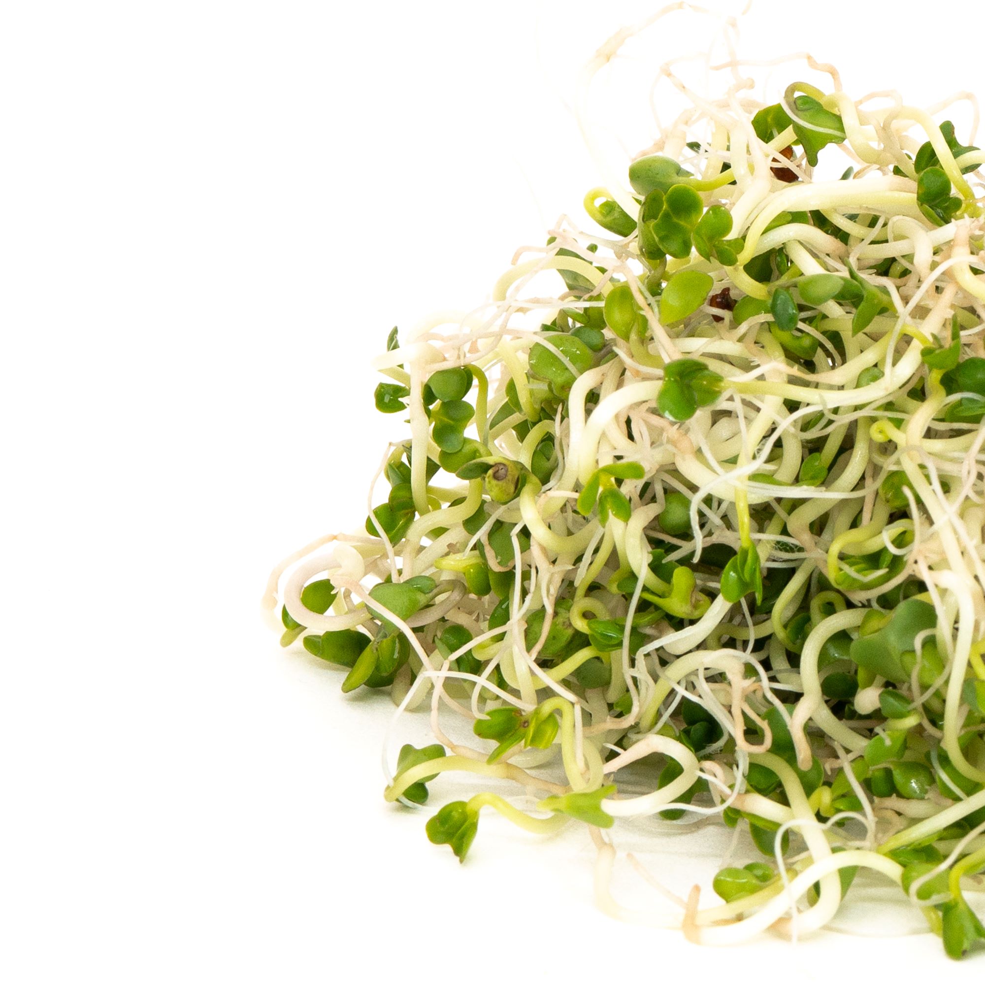 Sprouts broccoli How to