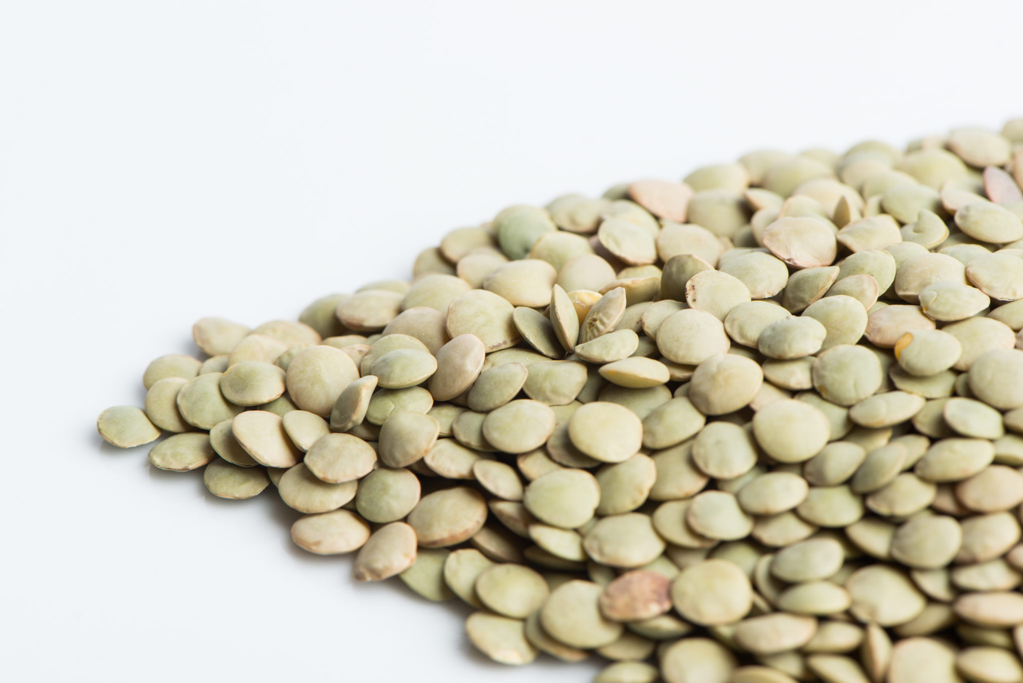 Lentils, Large Green - Mumm's Sprouting Seeds