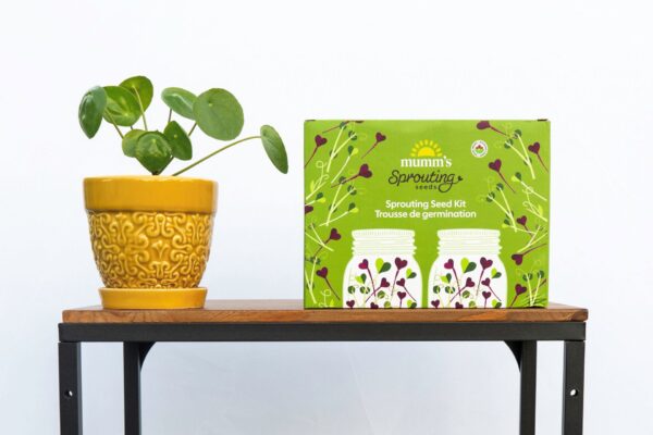 Sprouting Seed Kit (Double) - Image 3